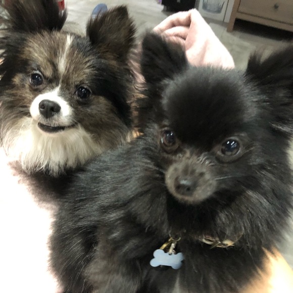 Meet your Posher, SamiK - Picture 3 of 5